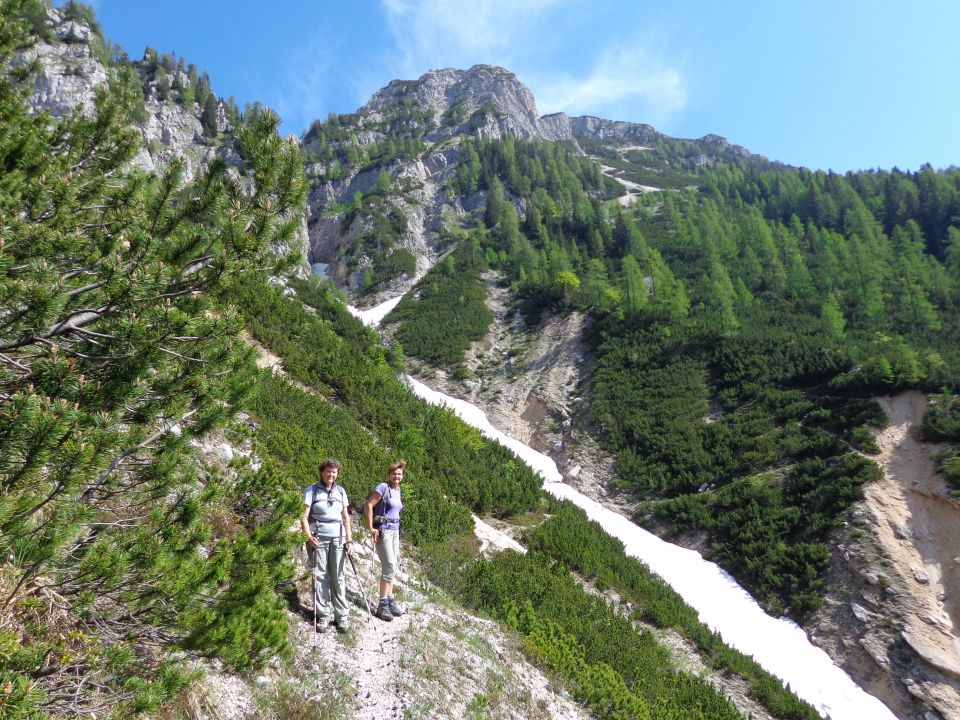 Veliki Črlovec - Sleme 14.06.2013 - foto povečava