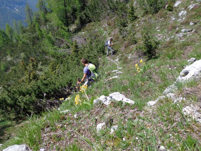 Veliki Črlovec - Sleme 14.06.2013 - foto