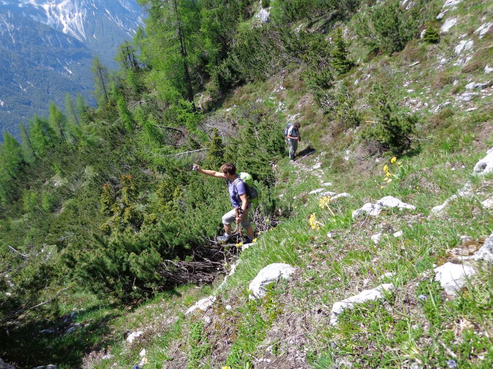 Veliki Črlovec - Sleme 14.06.2013 - foto povečava