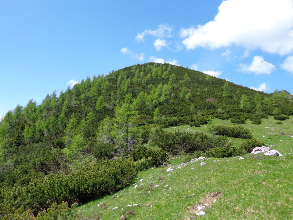 Veliki Črlovec - Sleme 14.06.2013 - foto povečava