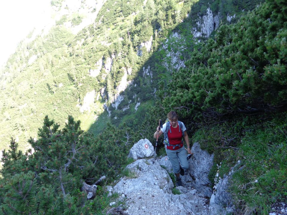 Kalška gora, Kalški greben, 10.07.2013 - foto povečava