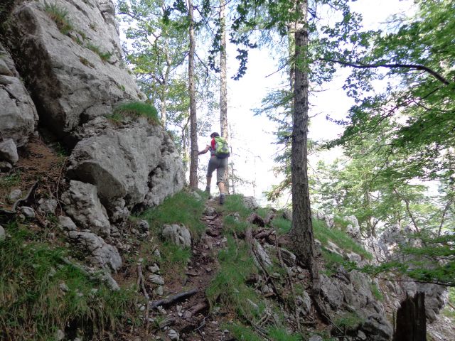 Pot postaja vse strmejša in lepša