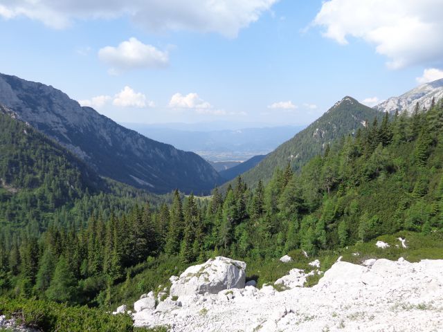 Zelenjak, 20.07.2013 - foto