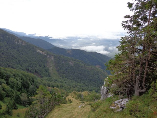 Storžič - po J grebenu, 29.08.2013 - foto