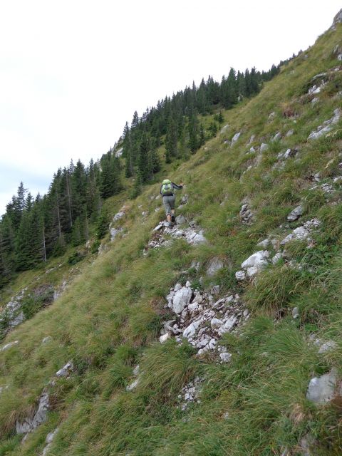 Storžič - po J grebenu, 29.08.2013 - foto