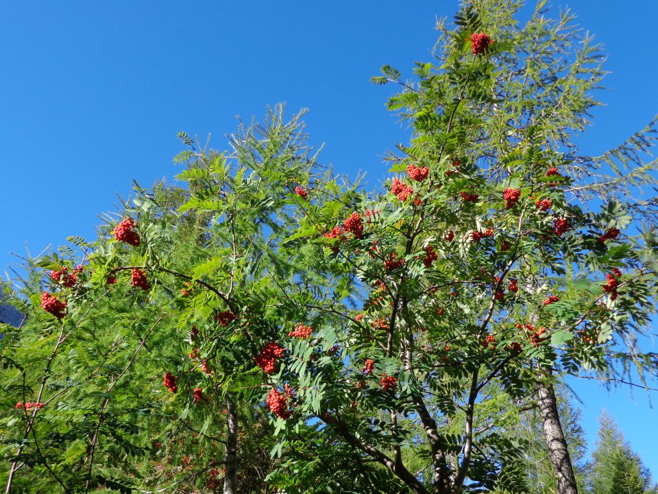 Vrtača s Suhega rušja, 24.09.2013 - foto povečava