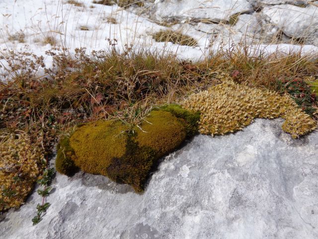 Veliki Draški vrh, Ablanca, 13.10.2013 - foto