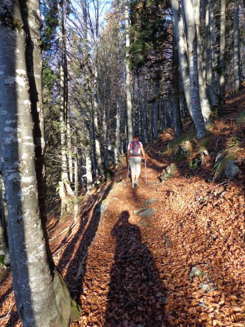 Storžič čez pašnike, 26.10.2013 - foto