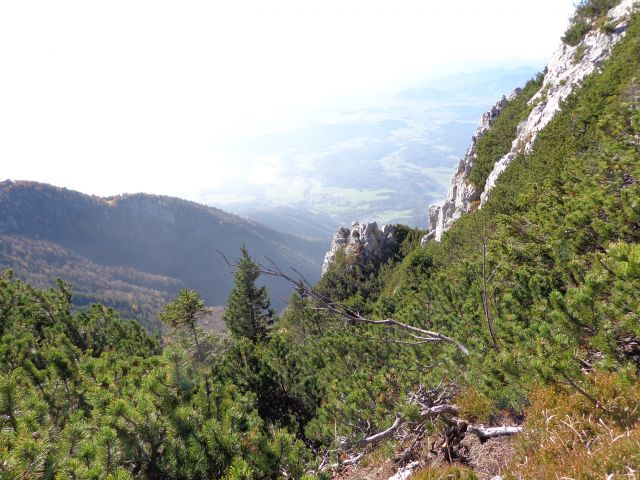 Storžič čez pašnike, 26.10.2013 - foto