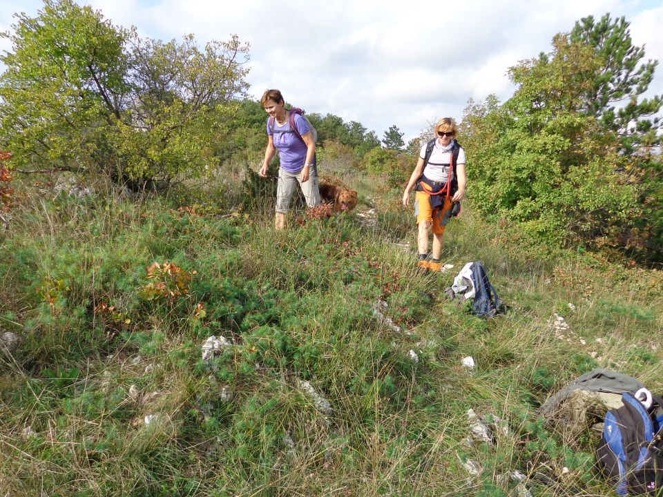 Kraški rob - spodmoli, 28.10.2013 - foto povečava