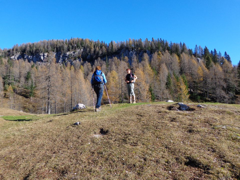 Brda, Mrežce, 01.11.2013 - foto povečava