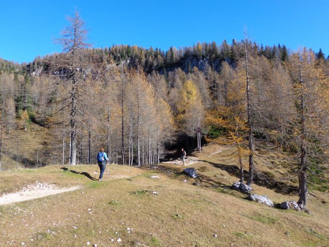 Brda, Mrežce, 01.11.2013 - foto