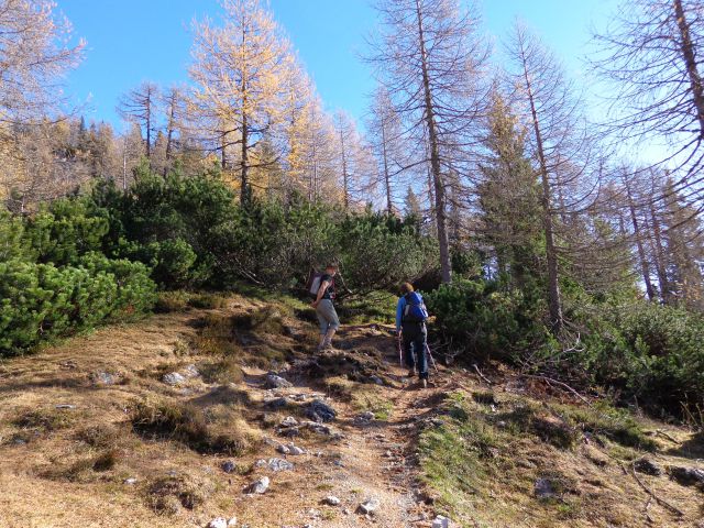 Brda, Mrežce, 01.11.2013 - foto