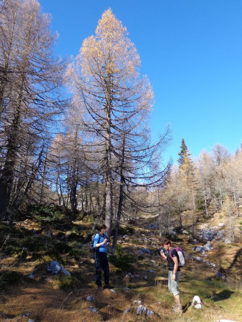 Brda, Mrežce, 01.11.2013 - foto
