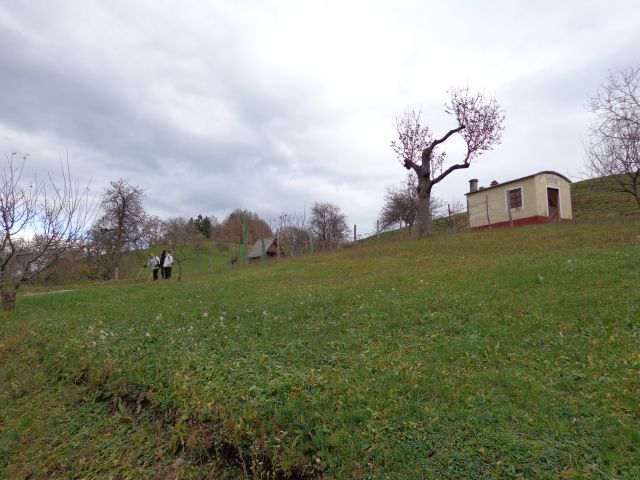 Tošč 25.11.2013 - foto