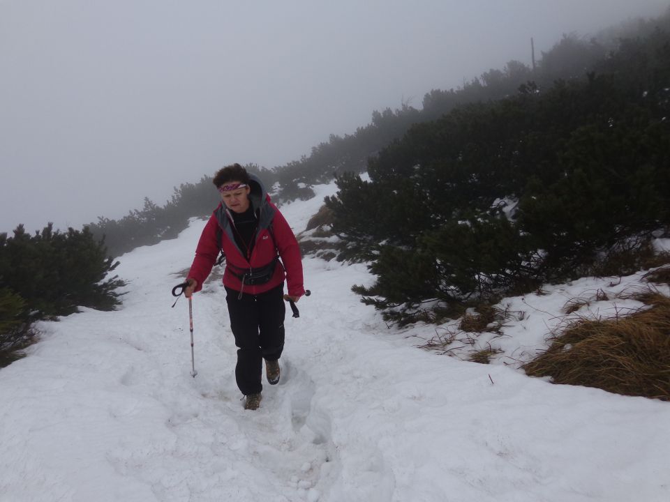 Bašeljski preval, 22.12.2013 - foto povečava