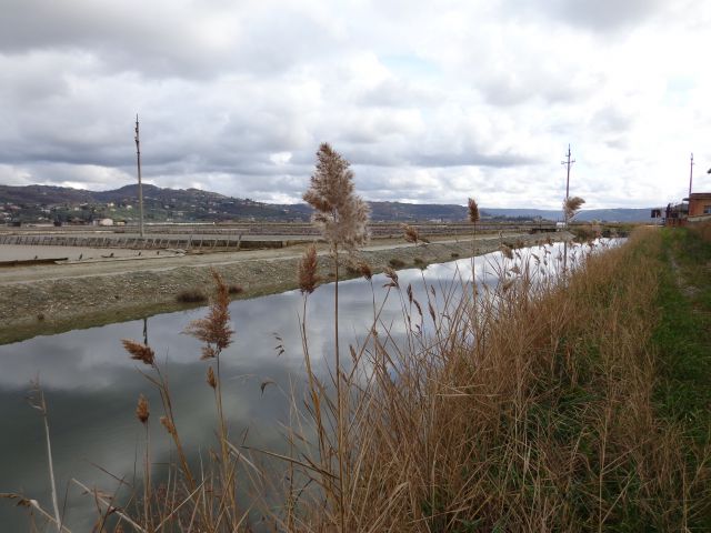 Sečovlje, 28.12.2013 - foto