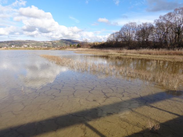 Sečovlje, 28.12.2013 - foto