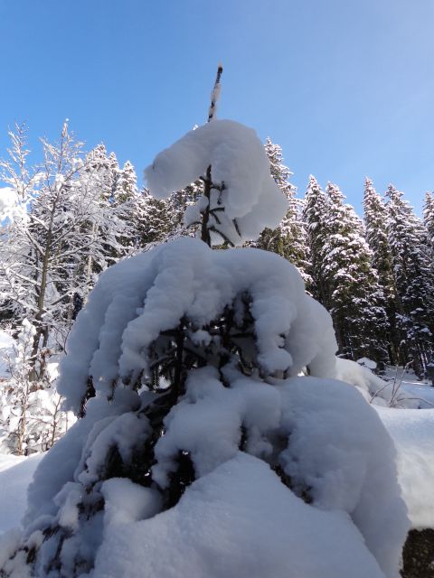 Mrežce, 01.01.2014 - foto