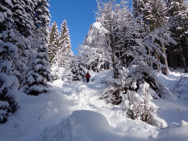 Mrežce, 01.01.2014 - foto