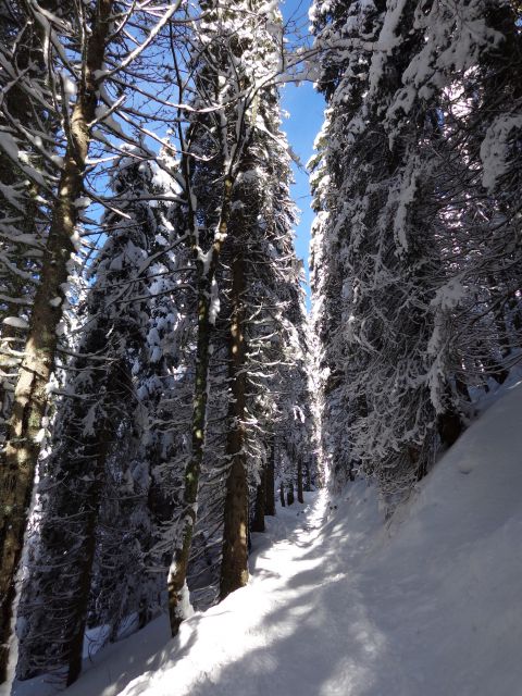 Mrežce, 01.01.2014 - foto