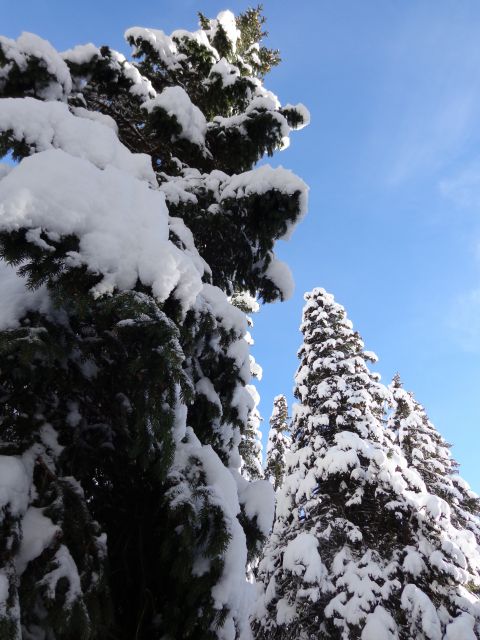 Mrežce, 01.01.2014 - foto