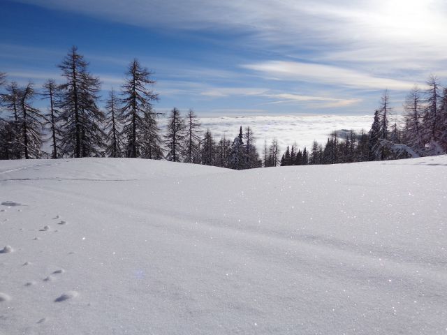 Mrežce, 01.01.2014 - foto