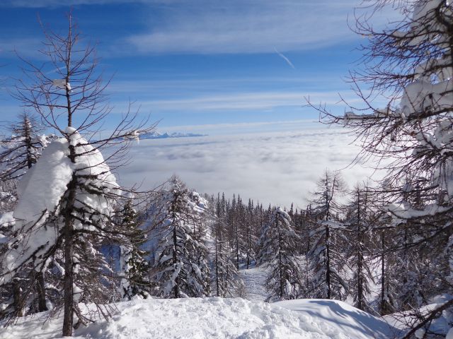 Mrežce, 01.01.2014 - foto