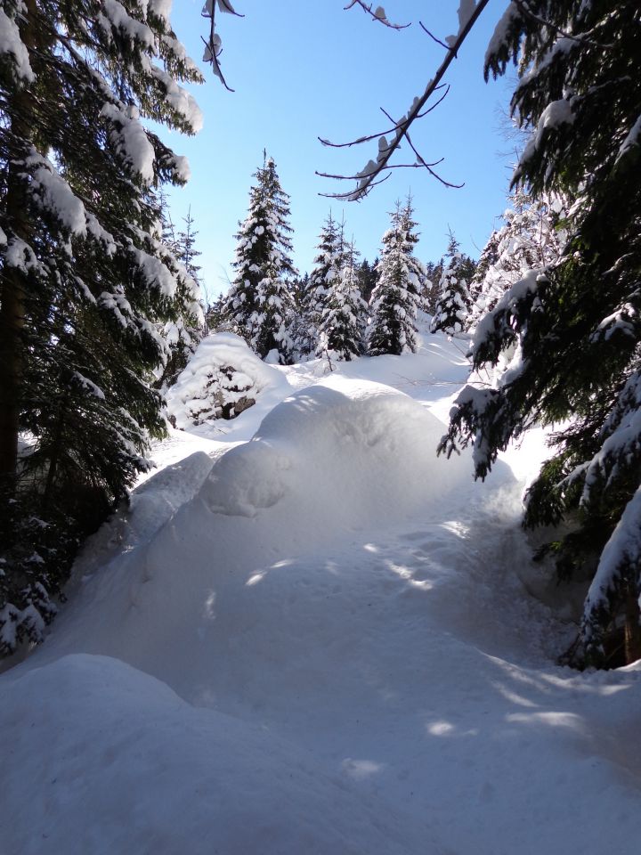 Ratitovec, 23.02.2014 - foto povečava