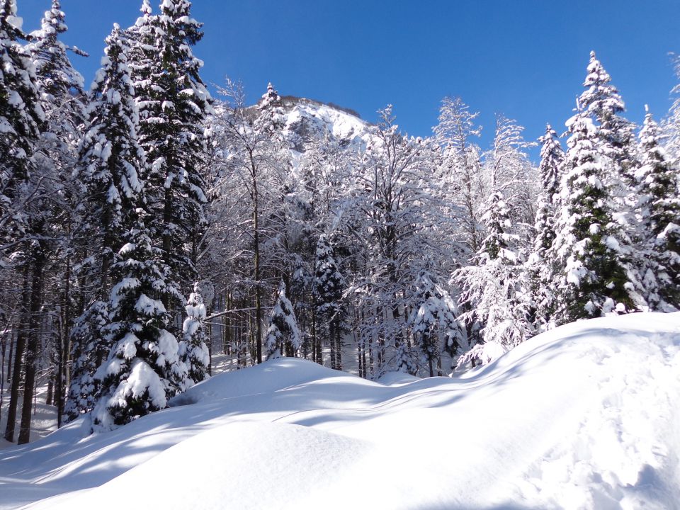 Ratitovec, 23.02.2014 - foto povečava