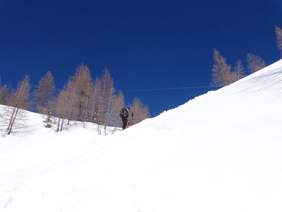 Pokljuka - Brda, 25.02.2014 - foto povečava