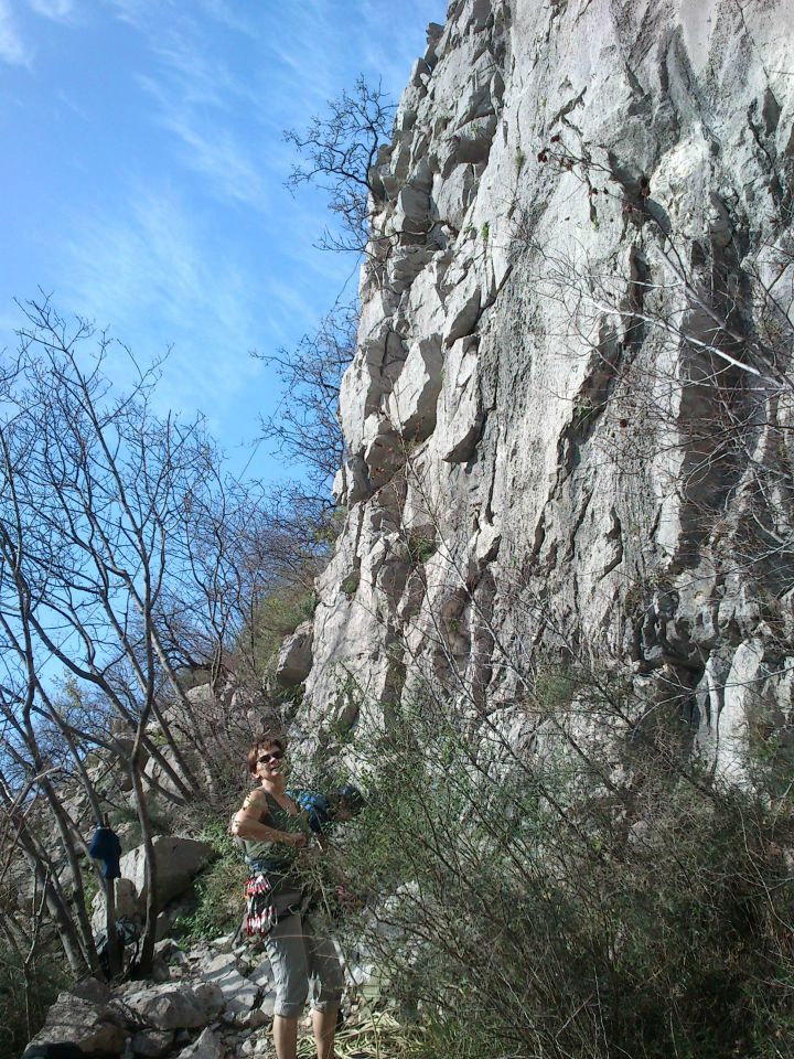 Osp, 07.03.2014 - foto povečava