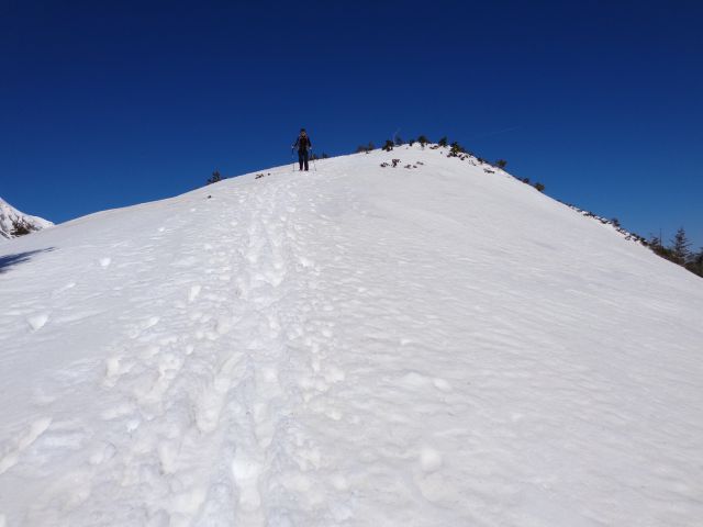 Bašeljski vrh, 09.03.2014 - foto