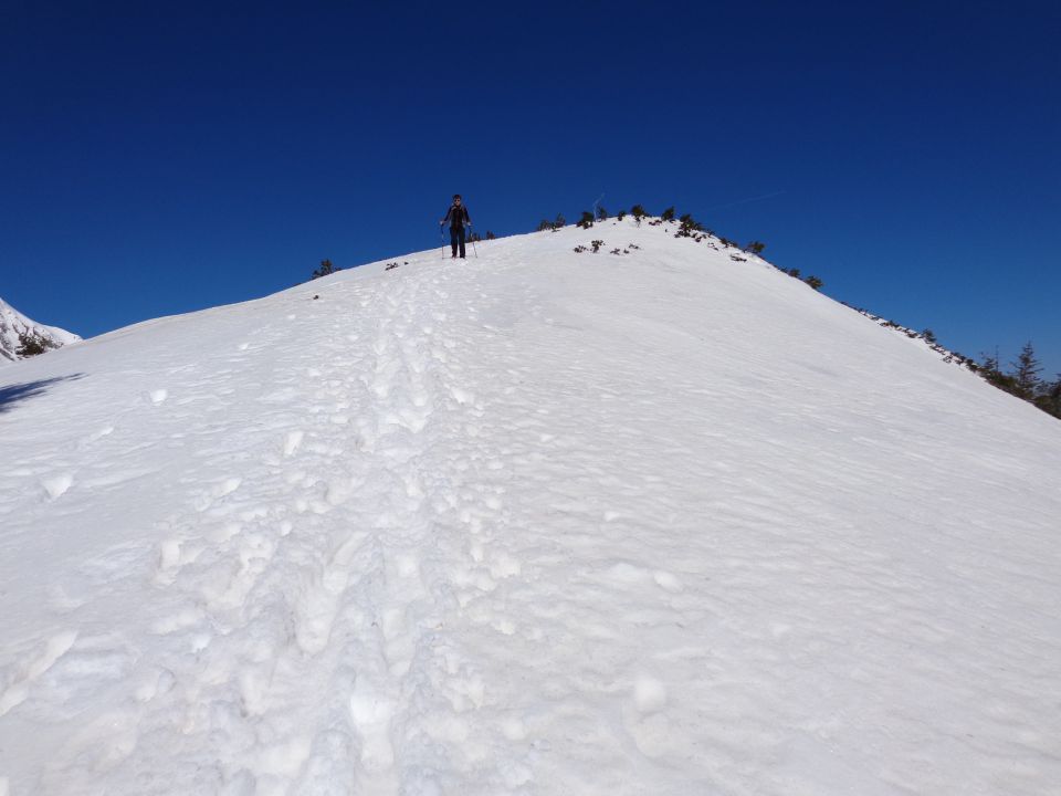 Bašeljski vrh, 09.03.2014 - foto povečava