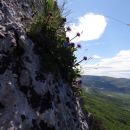 Gradiška tura, 17.04.2014