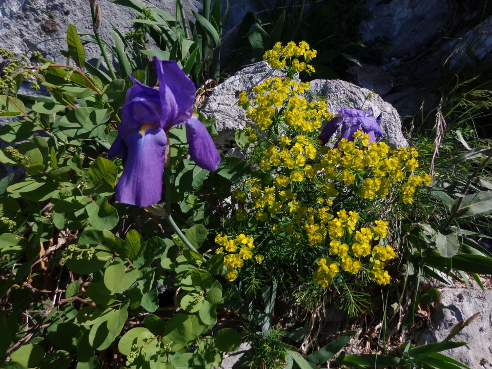 Gradiška tura, 17.04.2014 - foto povečava