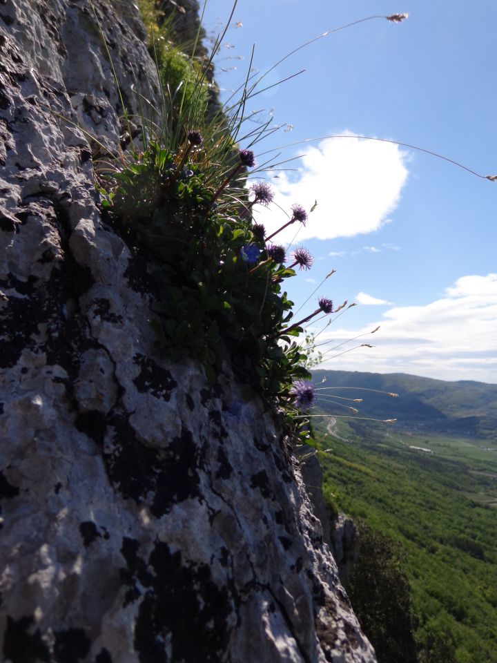 Gradiška tura, 17.04.2014 - foto povečava