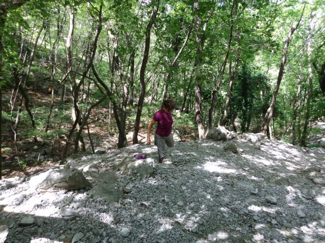 Glinščica, Comicijev greben, 14.05.2014 - foto