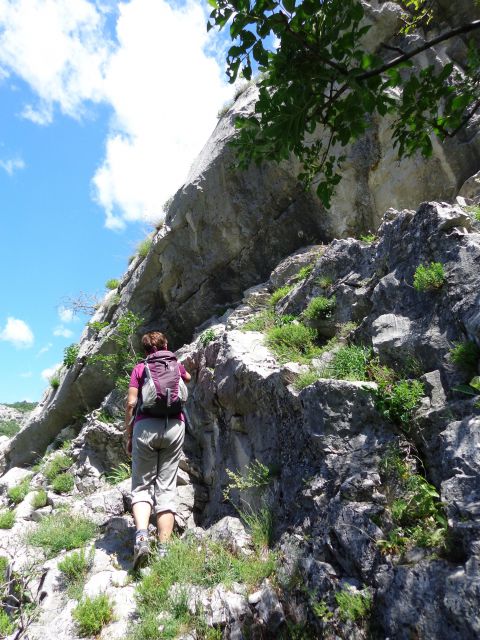 Glinščica, Comicijev greben, 14.05.2014 - foto