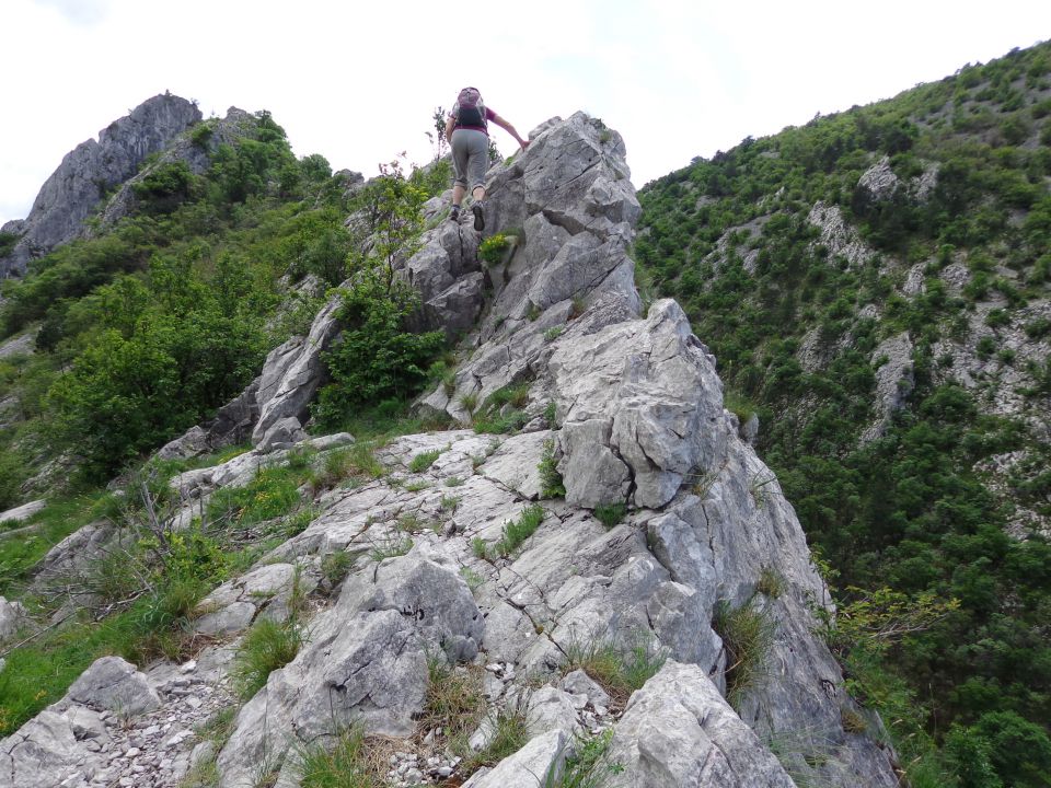 Glinščica, Comicijev greben, 14.05.2014 - foto povečava