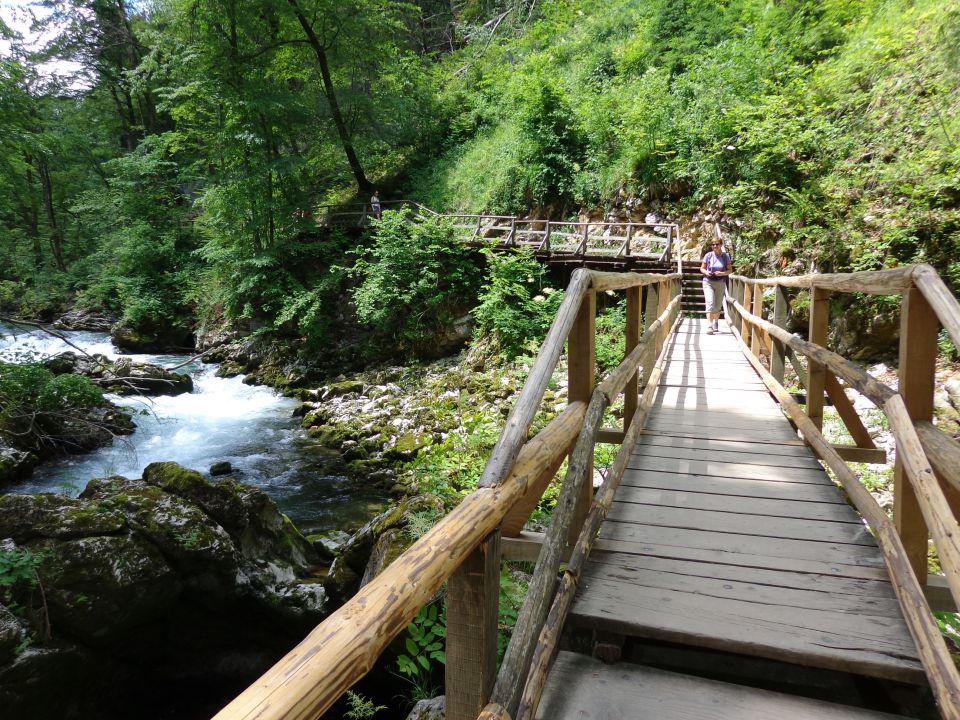 Blejski Vintgar, 02.06.2014 - foto povečava