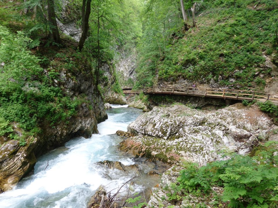 Blejski Vintgar, 02.06.2014 - foto povečava