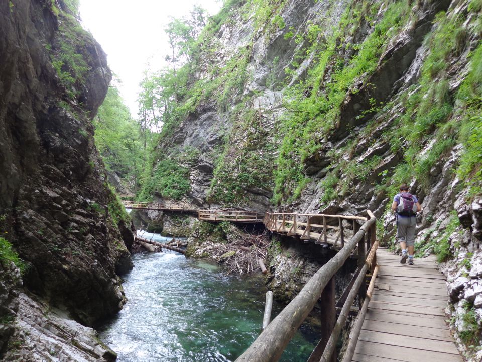 Blejski Vintgar, 02.06.2014 - foto povečava