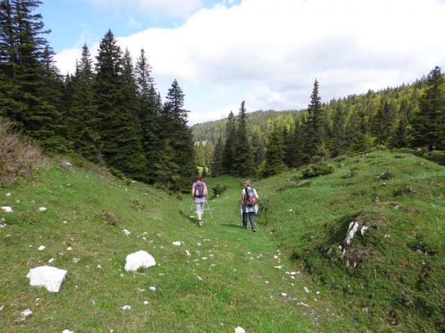 Ratitovec, 04.06.2014 - foto