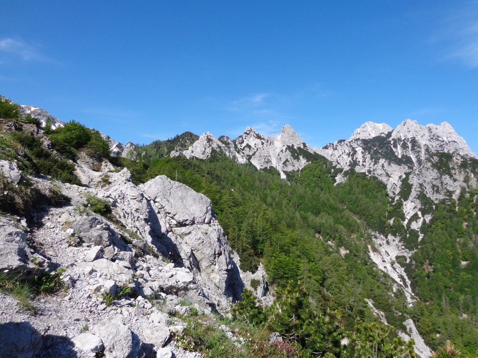 Ljubelščica, 07.06.2014 - foto povečava