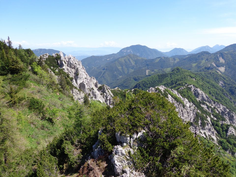 Ljubelščica, 07.06.2014 - foto povečava