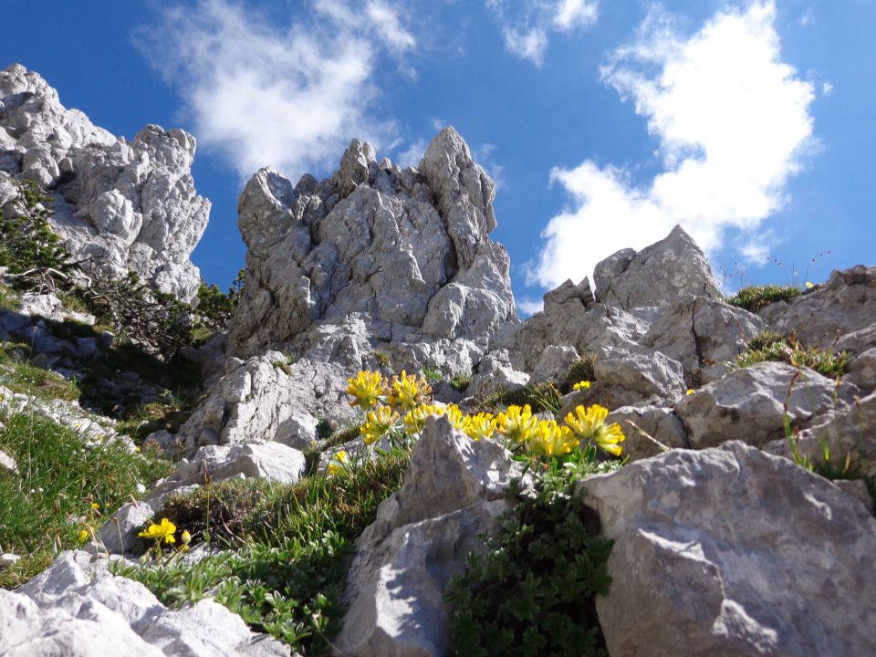 Vrtača, 06.07.2014 - foto povečava