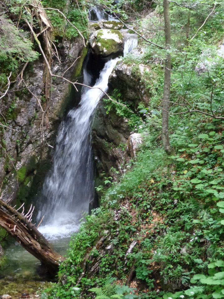 Cesar, 12.07.2014 - foto povečava