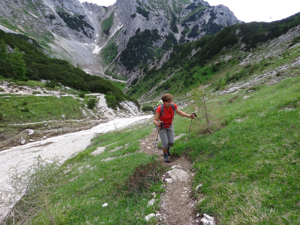 Cesar, 12.07.2014 - foto povečava