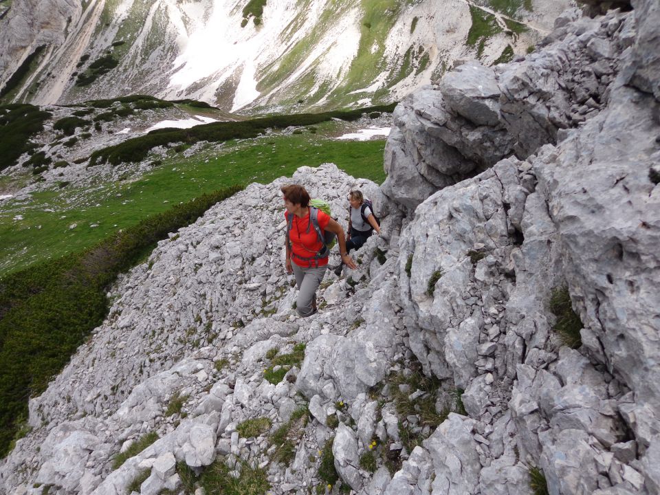 Cesar, 12.07.2014 - foto povečava